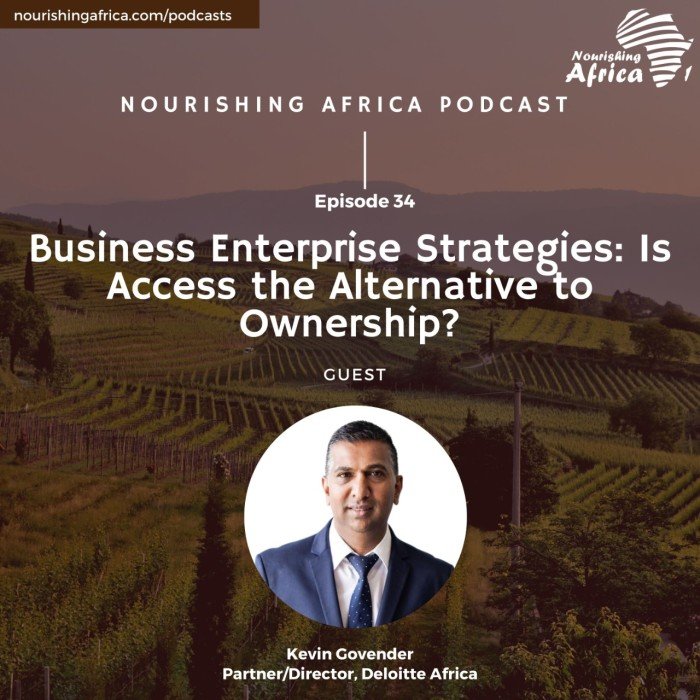 Business Enterprise Strategies: Is Access the Alternative to Ownership?